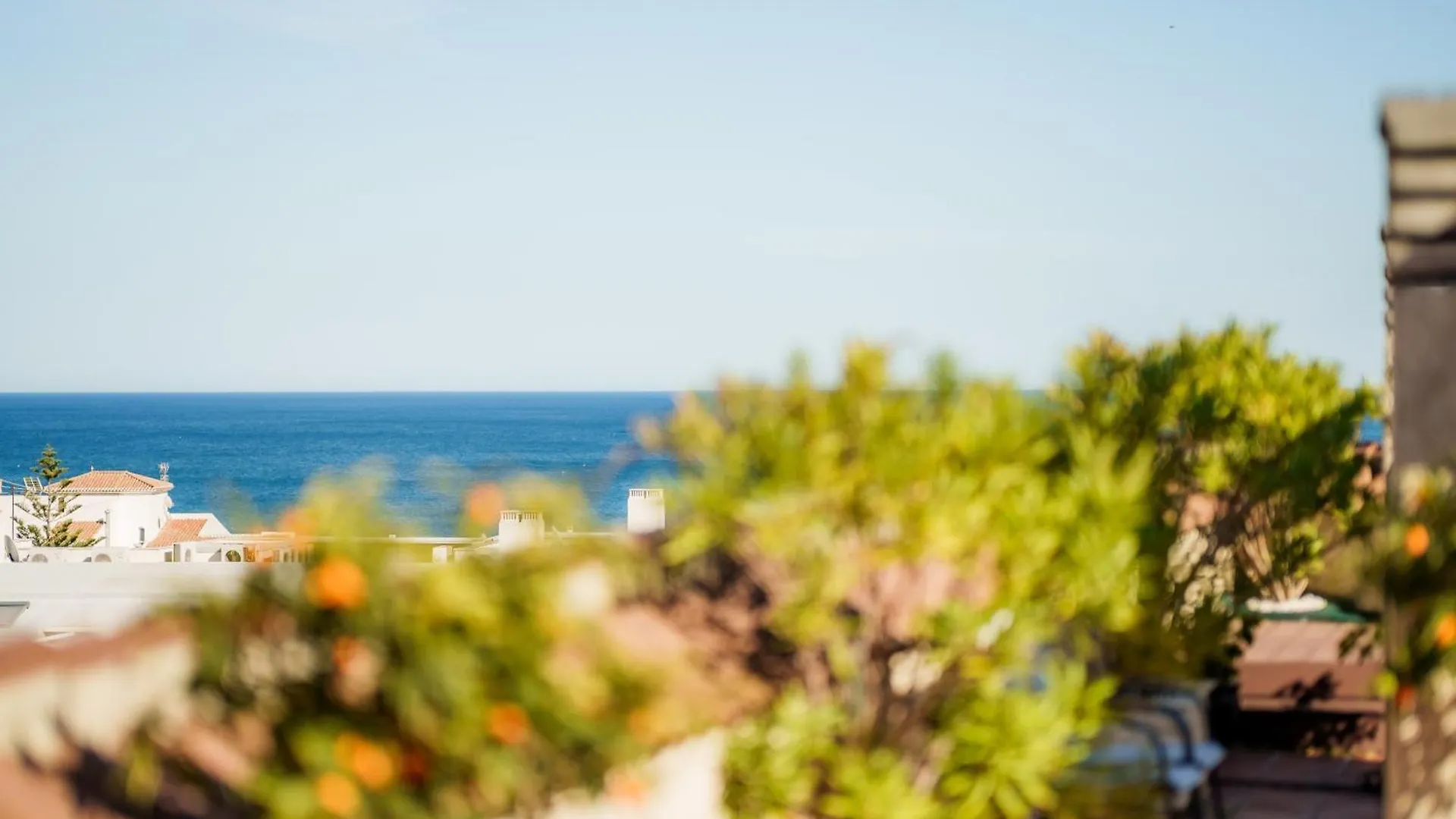 Orange Garden Luxury Penthouse Apartment Manilva